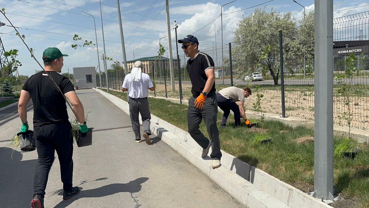 Волонтёры высаживают деревья в Алматы